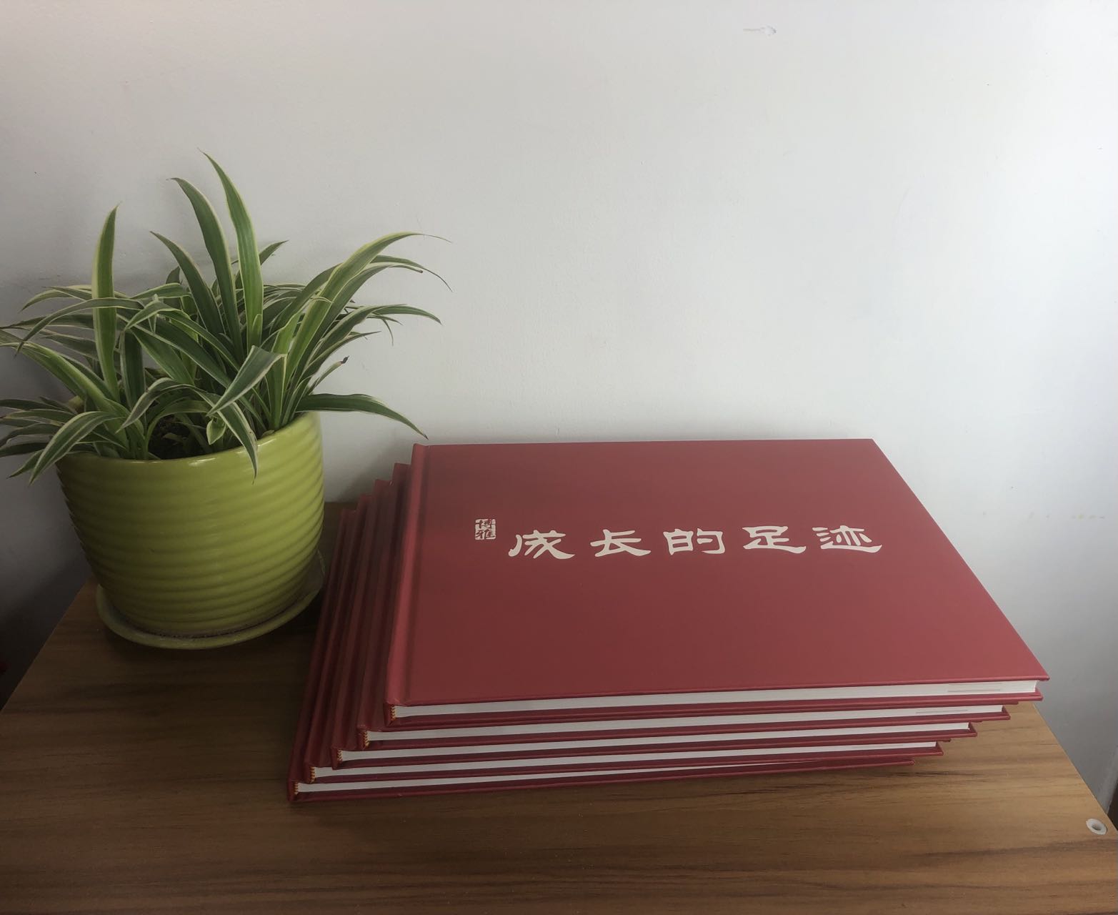 精裝企業(yè)宣傳冊(cè).jpg